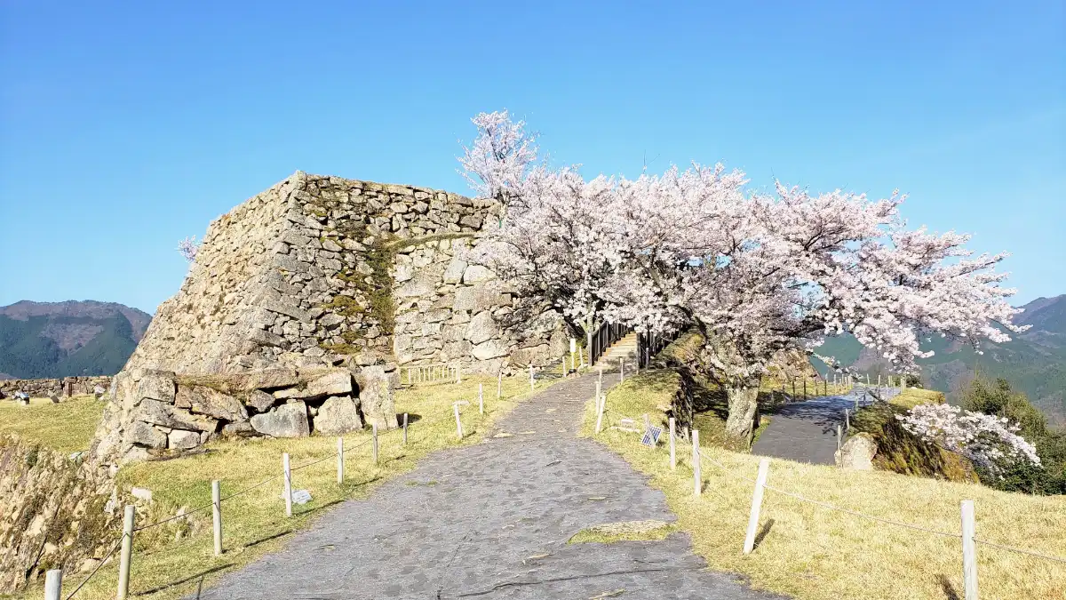 竹田城（兵庫県朝来市）】③ 工夫を凝らした縄張り│寺社城郭探訪記