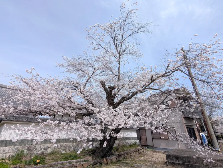 京都府木津川市 安福寺