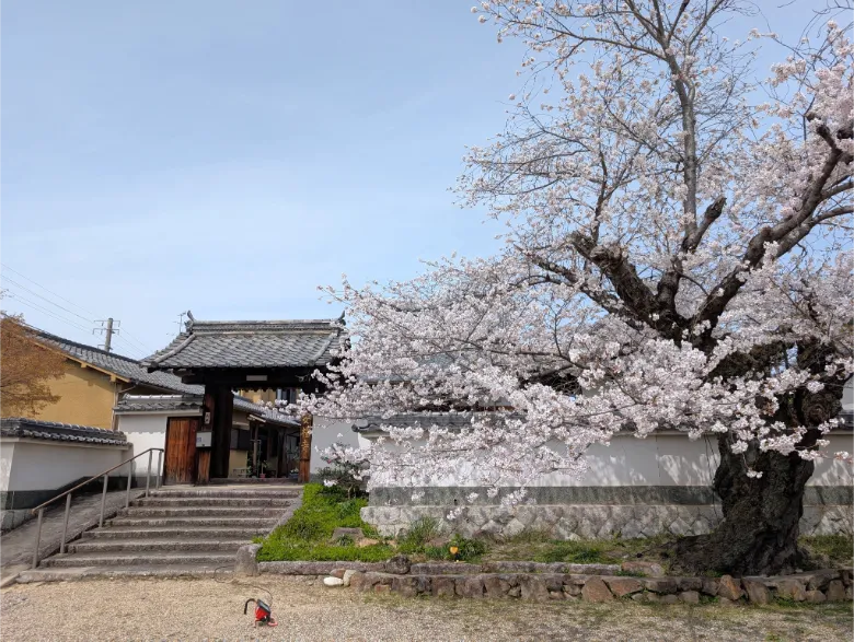京都府木津川市 安福寺