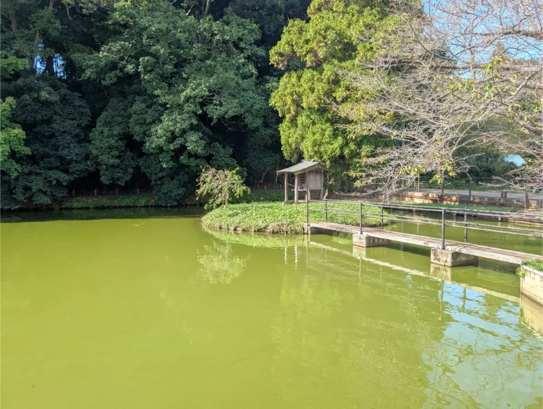 千葉県印西市 結縁寺 弁財天堂