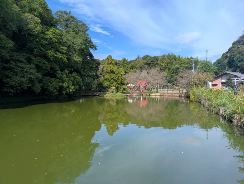 千葉県印西市 結縁寺池