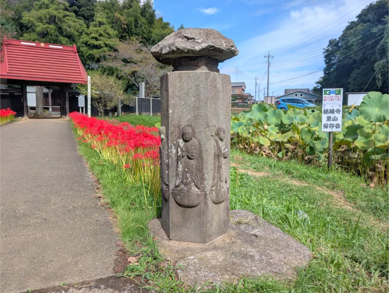 千葉県印西市 結縁寺 彼岸花