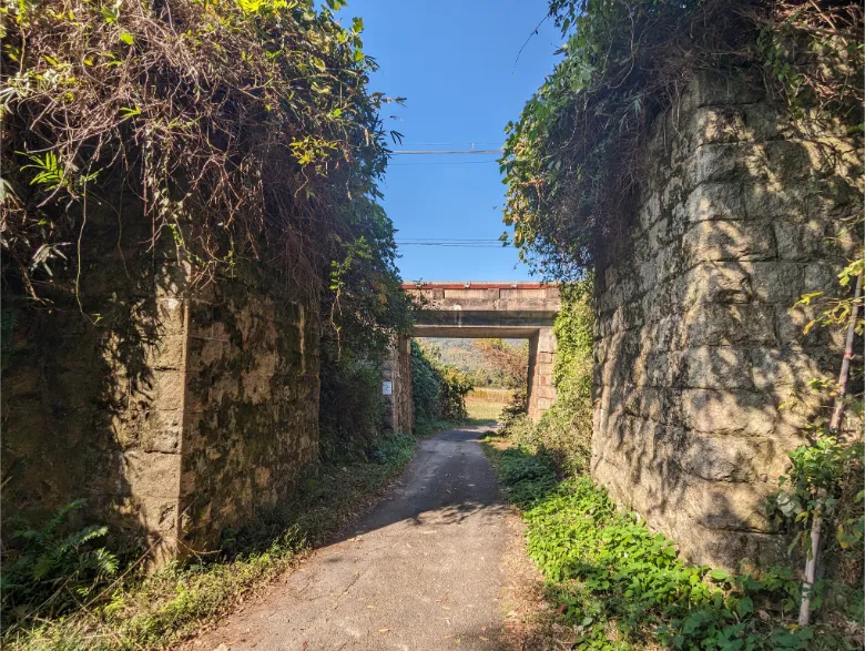 京都府木津川市 大仏鉄道 観音寺橋台