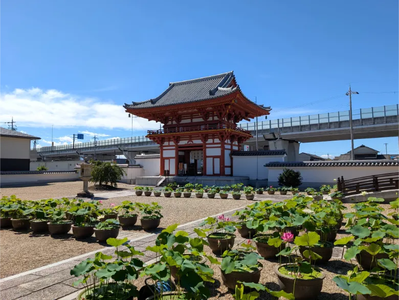 奈良県奈良市 喜光寺