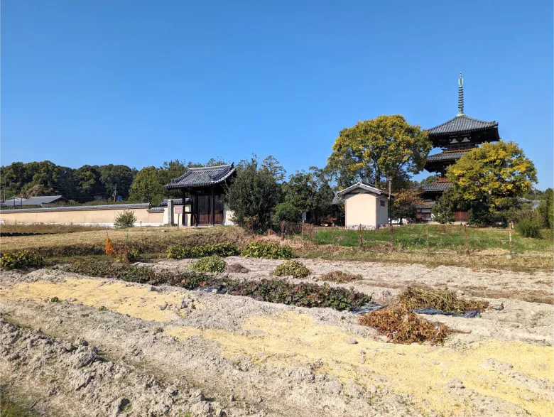 奈良県生駒郡斑鳩町 法起寺
