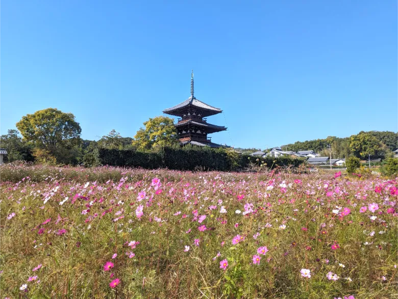 奈良県生駒郡斑鳩町 法起寺 三重塔