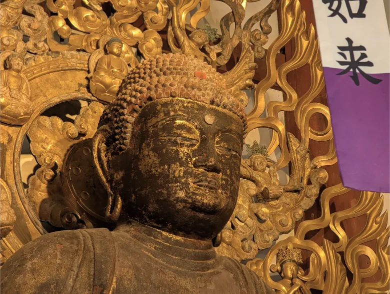 奈良県奈良市 喜光寺 阿弥陀如来