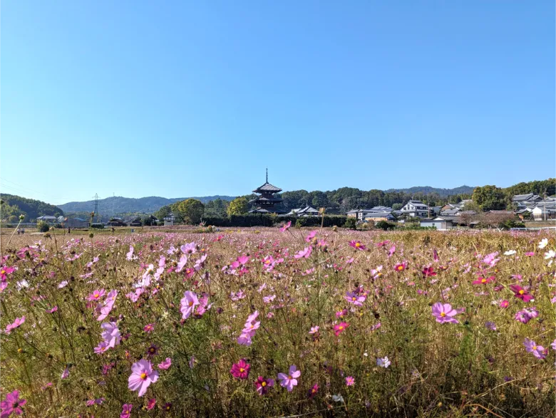 奈良県生駒郡斑鳩町 法起寺 三重塔