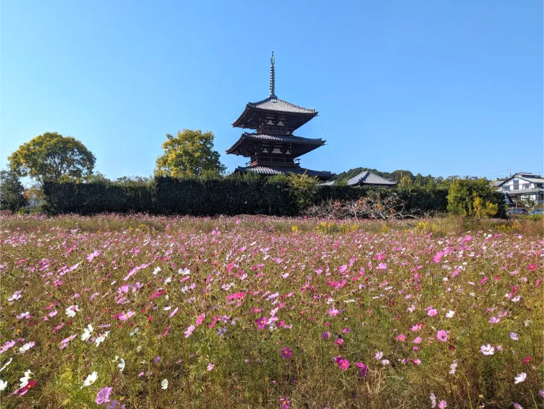 奈良県生駒郡斑鳩町 法起寺 三重塔