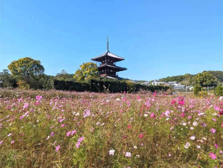 奈良県生駒郡斑鳩町 法起寺 三重塔