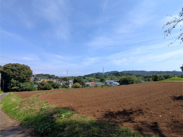 神奈川県平塚市 八剱神社