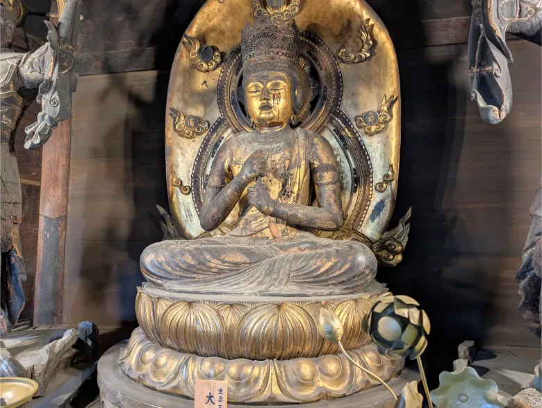 奈良県橿原市 正蓮寺大日堂 大日如来